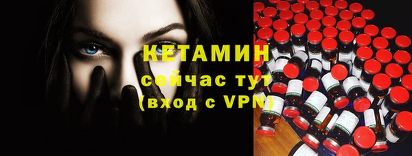 соль ск Инсар