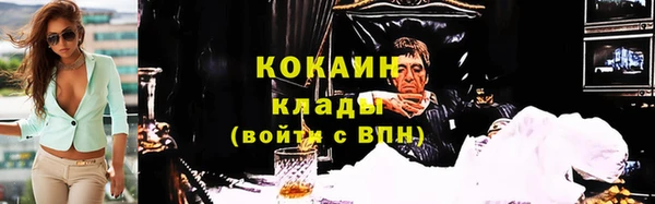 соль ск Инсар