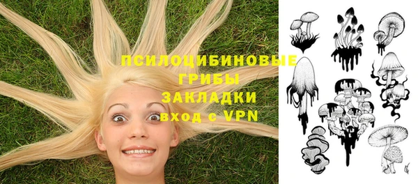 прущий лед Инта