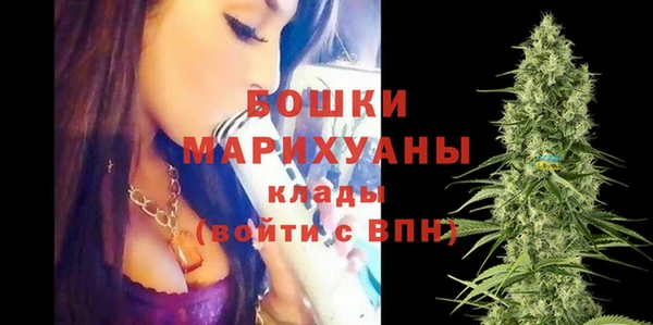 прущий лед Инта