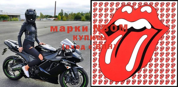 индика Каменногорск