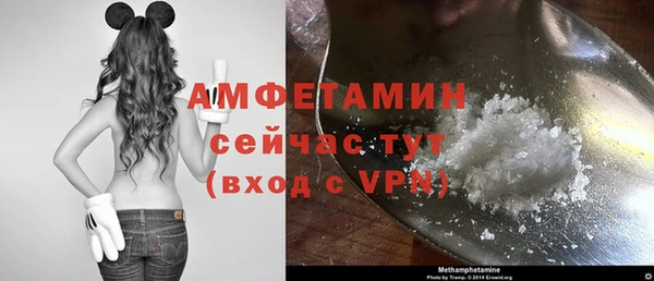 соль ск Инсар