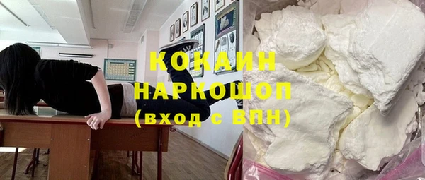 соль ск Инсар