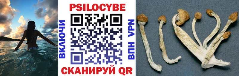 Псилоцибиновые грибы мухоморы  Купить  Пошехонье 