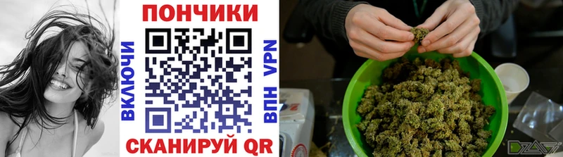 Бошки марихуана ГИДРОПОН  Купить закладки  Пошехонье 